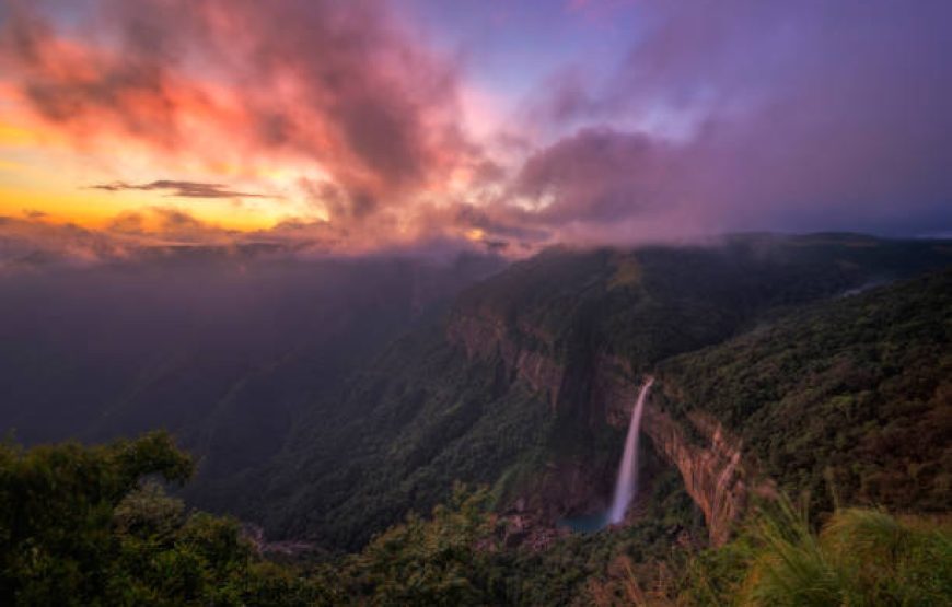 Darjeeling Escape – 4 Nights 5 Days | Toy Train, Tea Gardens & Himalayan Sunrise