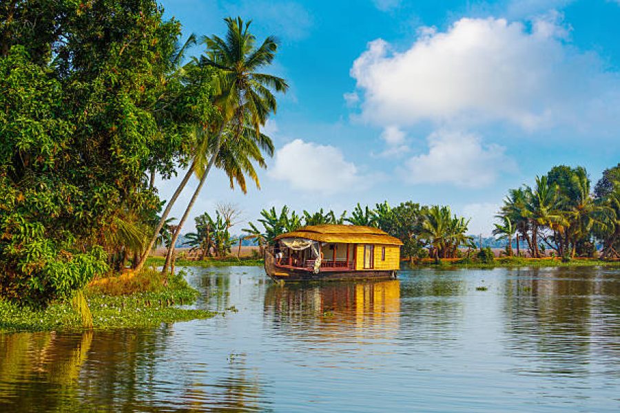 Kerala Honeymoon – 3 Nights 4 Days | Private Houseboat & Munnar Couple’s Package