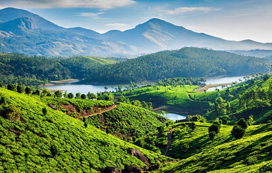 Kerala Complete – 6 Nights 7 Days | Kochi, Munnar, Alleppey Backwaters & Varkala