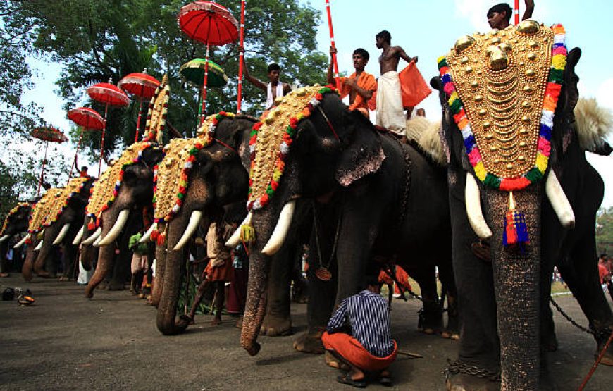 Kerala Complete – 6 Nights 7 Days | Kochi, Munnar, Alleppey Backwaters & Varkala