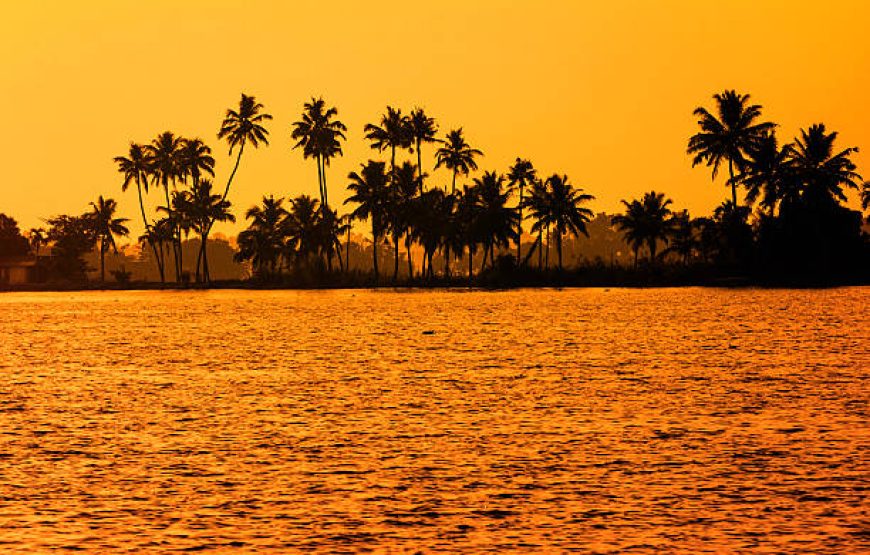Kerala Complete – 6 Nights 7 Days | Kochi, Munnar, Alleppey Backwaters & Varkala