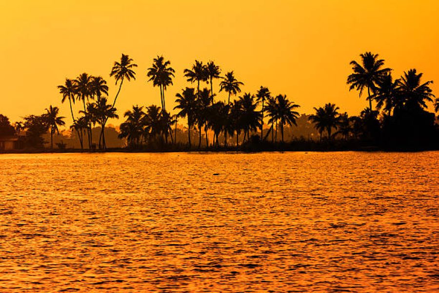 Kerala Complete – 6 Nights 7 Days | Kochi, Munnar, Alleppey Backwaters & Varkala