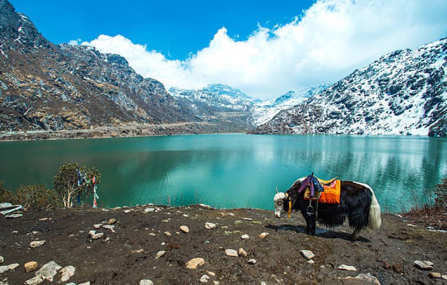 Darjeeling Escape – 4 Nights 5 Days | Toy Train, Tea Gardens & Himalayan Sunrise