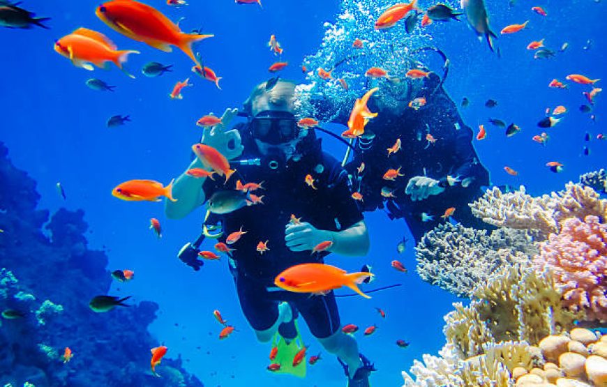 Andaman Honeymoon – 4 Nights 5 Days | Havelock Island Beach & Bioluminescent Kayaking