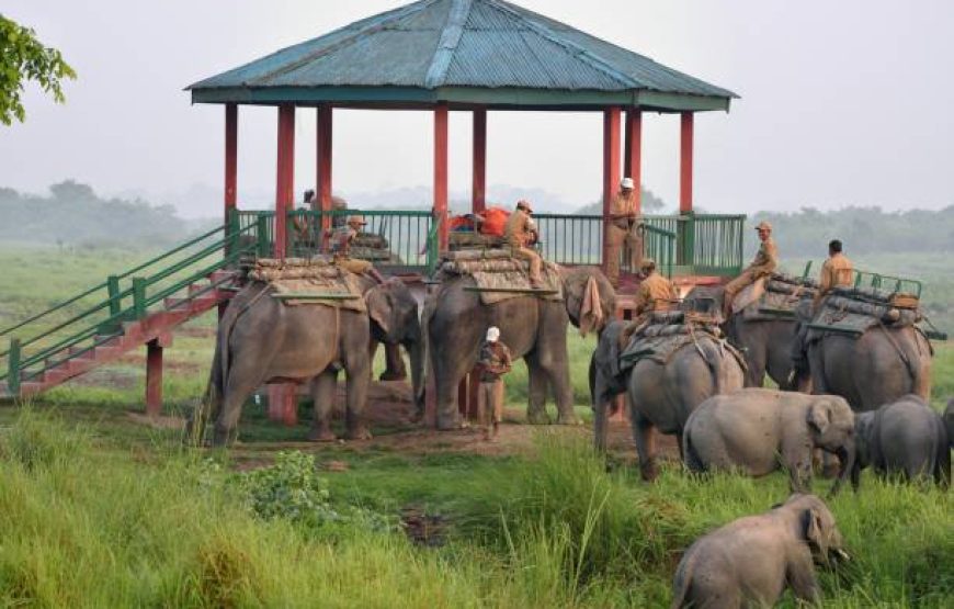 Darjeeling Escape – 4 Nights 5 Days | Toy Train, Tea Gardens & Himalayan Sunrise